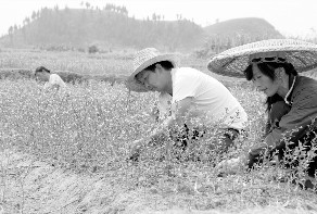 点击浏览下一页